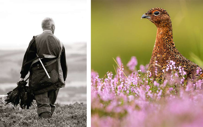 glorious twelfth grouse 1 - The Artisan Food Trail