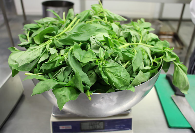 Basil Pesto – The Hungry Guest 2 - The Artisan Food Trail