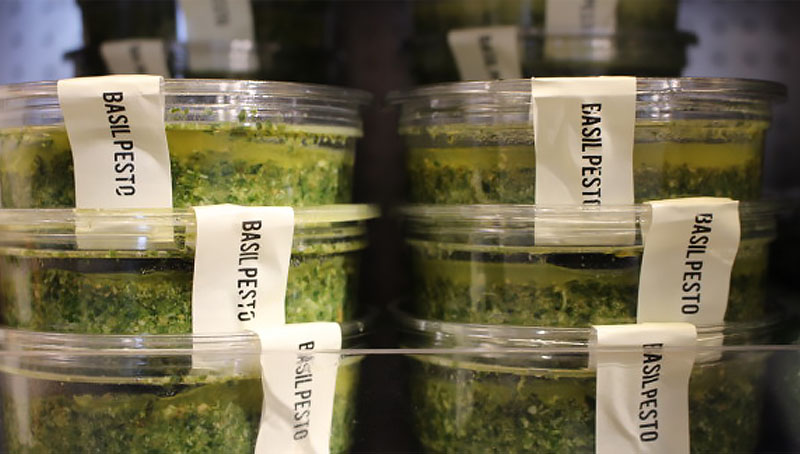 Basil Pesto – The Hungry Guest 4 - The Artisan Food Trail