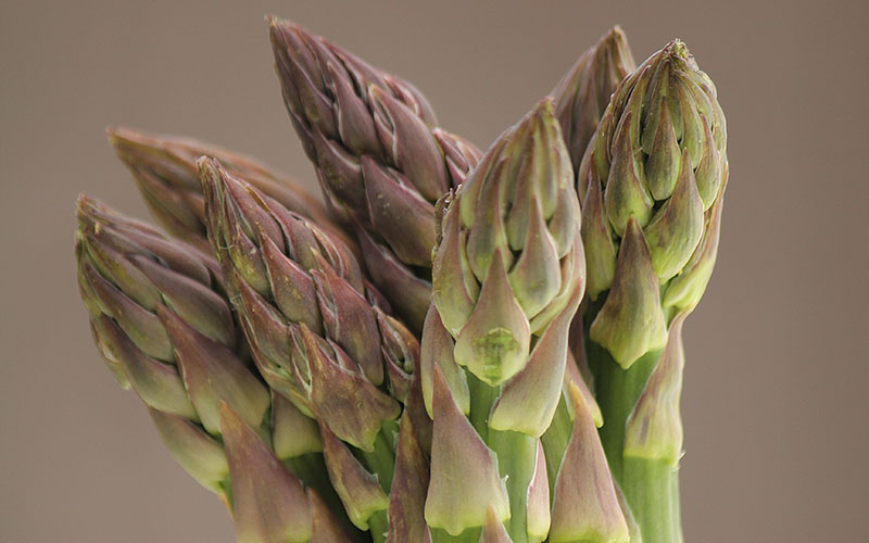 British asparagus season is here!