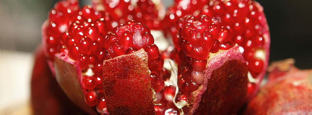 Pomegranate dressing  - The Artisan Food Trail