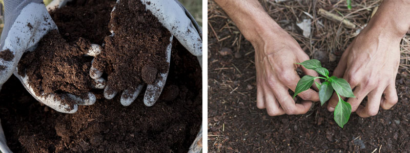 Compost – Farm Diversification – The Artisan Food Trail