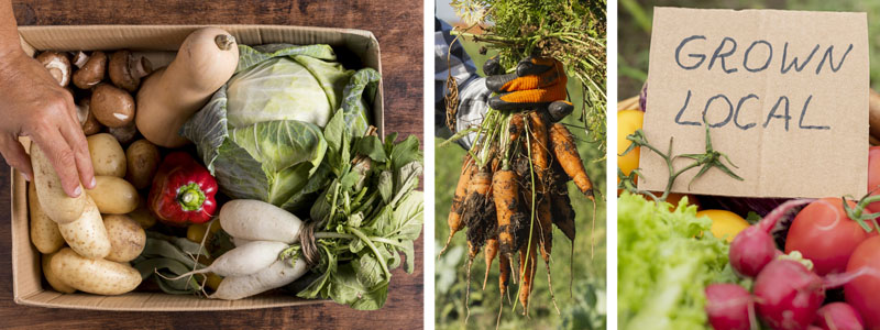 Veg Box – Farm Diversification – The Artisan Food Trail
