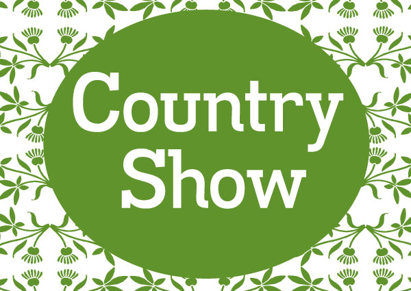 Denbigh and Flint County Show with Food Festival