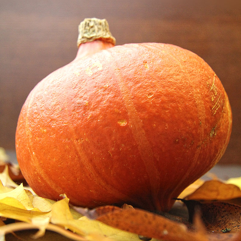 Autumn Salad onion squash